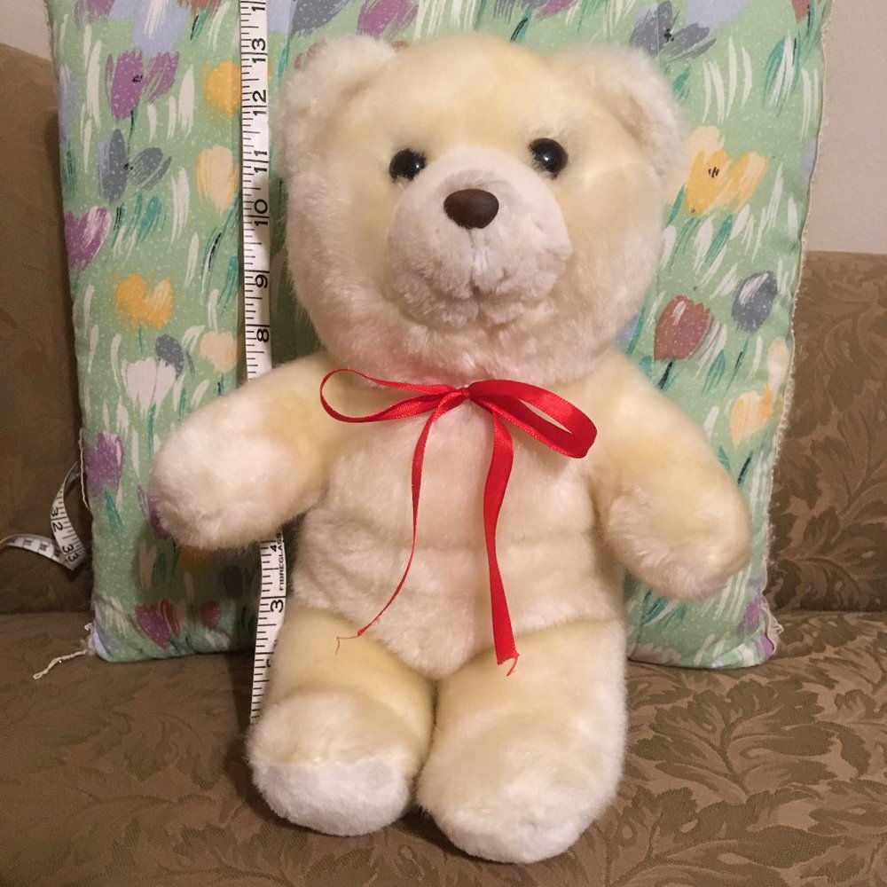 Teddy bear with pocket